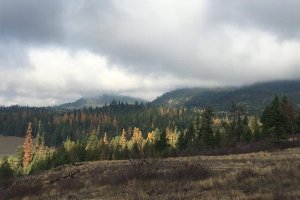 The Alvord Lake $1.15 million project was anchored by a $400,000 U.S. Forest Service Community Forest and Open Spaces Program grant.