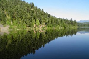 Alvord Lake was conserved for a local community and for its wildlife values.
