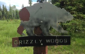 Grizzly Woods in Montana's Swan Valley.