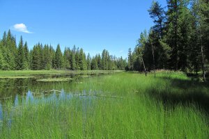 The Elk Flats Neighbors Project protects extensive riparian features.