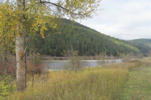 The Kootenai River, Highway 2 and a rail road split the Cabinet and Purcell mountain ranges and separates two grizzly subpopulations.