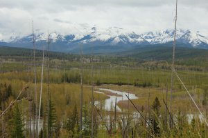 Lush bottomlands rise to snowy peaks near Polebridge Palace, a 142-acre property above Montana’s North Fork Flathead River.