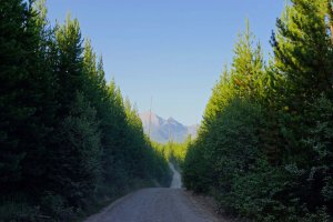 The road to Glacier National Park's Kintla Lake is due east of the Polebridge Palace property.