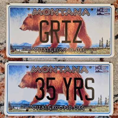 Collector License Plate
