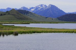 Stock--centennial_valley1020