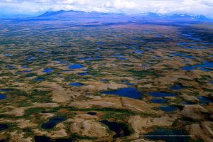 Bristol Bay