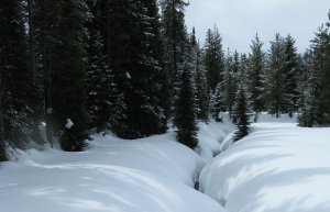 Lance Schelvan photo of deep snow near Lolo Pass in the Bitterroot Mountains