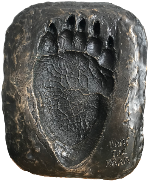 Life-size cast of Bart the Bear's rear paw