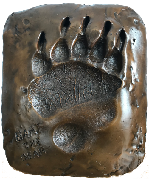 Life-size bronze cast of Bart the Bear's front paw