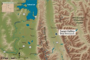 Swan Valley Bear Resources