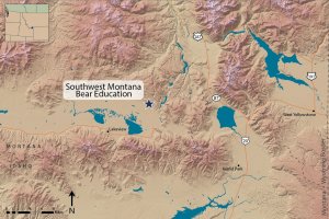 Southwest Montana Bear Education