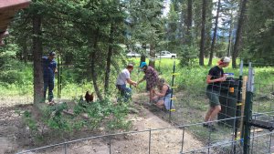 Electric fencing