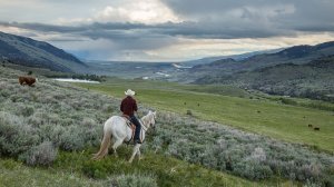 Range Rider in Montana valley