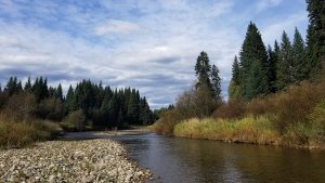 Yaak River in Broadie Habitat Preserve