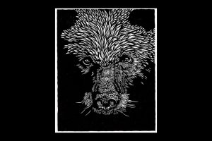 encounter_emery