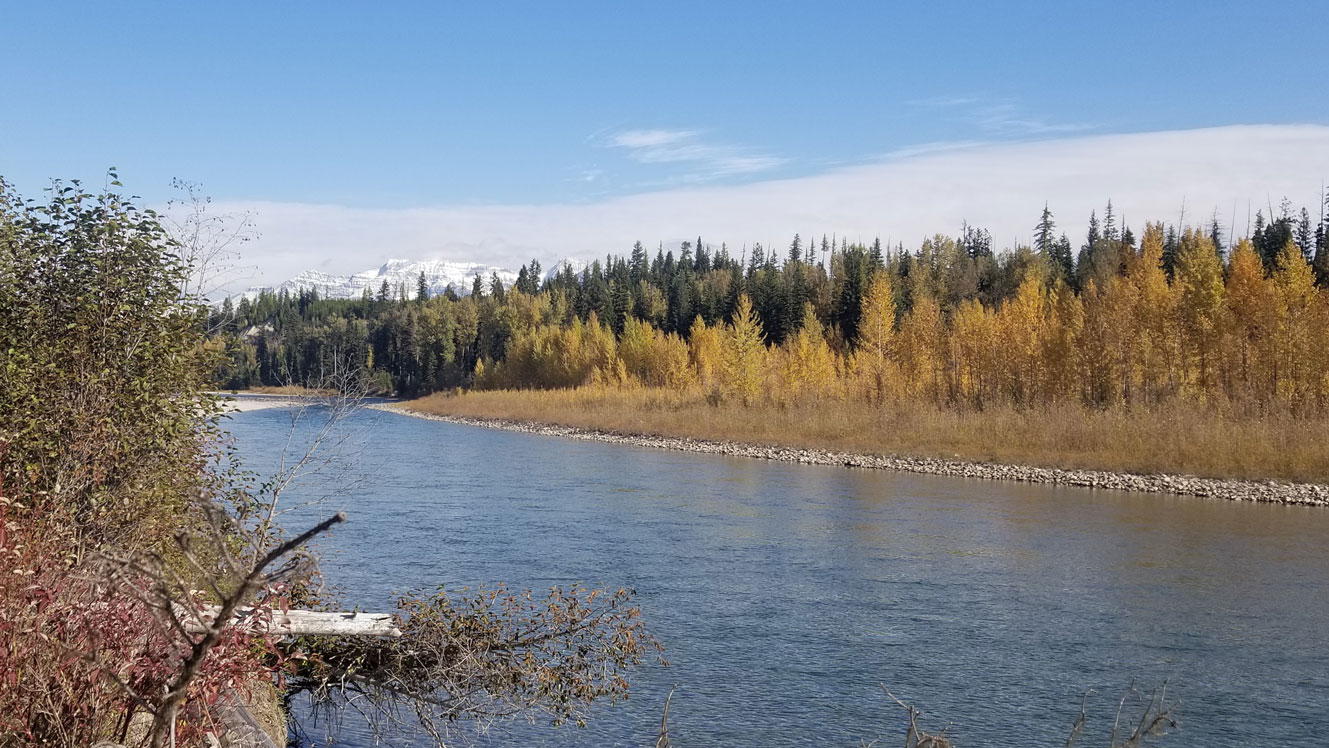 North Fork Flathead River