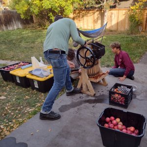 Pressing cider