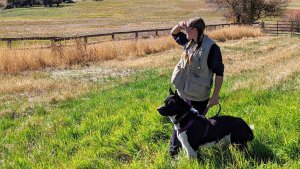 Wildlife service dog and biologist
