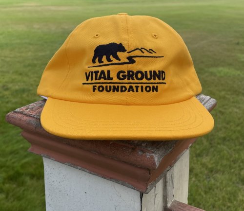 Vital Ground logo snapback in yellow