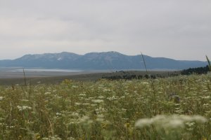 IMG_3242