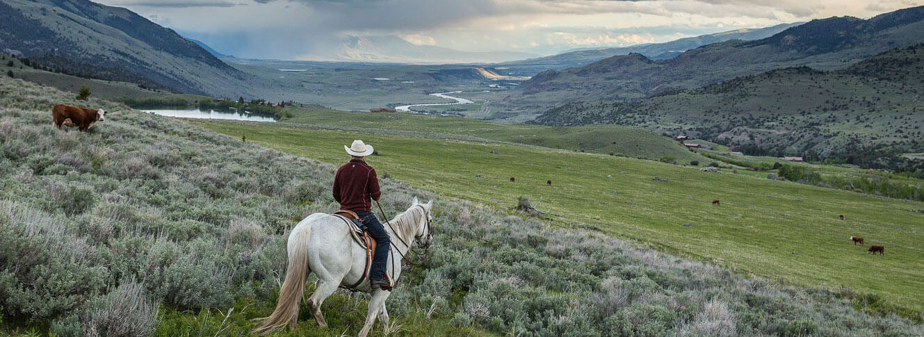 Range Rider in Montana valley