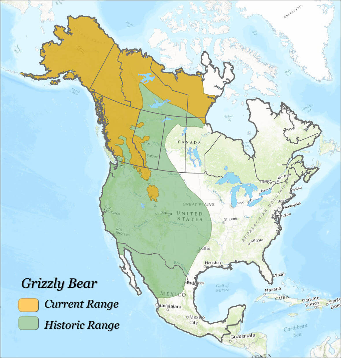 Map of grizzly bear current and historic ranges