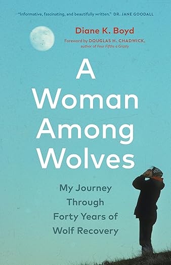 Cover of Diane Boyd's book A Woman Among Wolves which is a picture of a woman howling into the evening sky