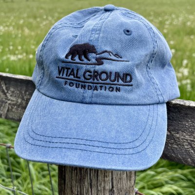 Blue cap with black Vital Ground logo